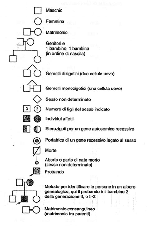Albero genealogico stilizzato con simboli per indicare la trasmissione genetica