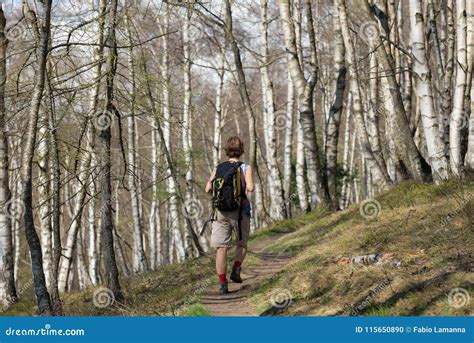 Persona che cammina in una foresta