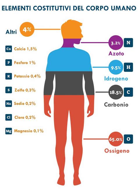 Diagramma che illustra le funzioni del Potassio e del Magnesio nel corpo umano