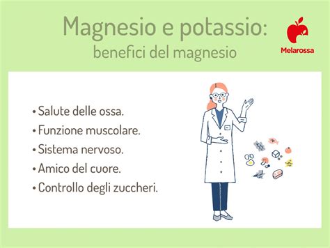 Infografica che mostra la sinergia tra Potassio e Magnesio