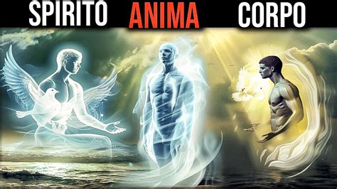 Illustrazione della distinzione tra fantasie nel corpo e fantasie sul corpo