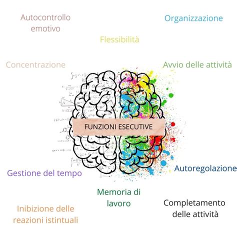 Schema che illustra le funzioni esecutive del cervello