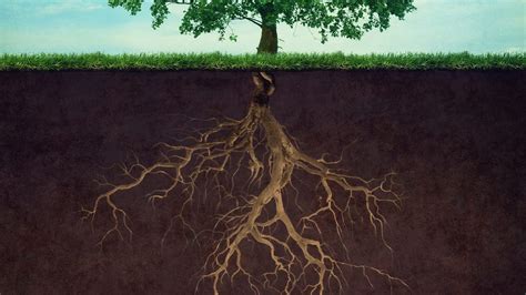 Albero con radici profonde che rappresentano l'infanzia e i rami che rappresentano le relazioni adulte