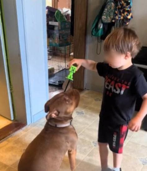 Bambino autistico che accarezza un cane