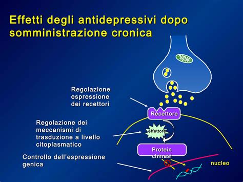 Schema che illustra i diversi meccanismi d'azione degli antidepressivi