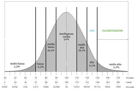 Persona che guarda uno schermo con grafici del QI