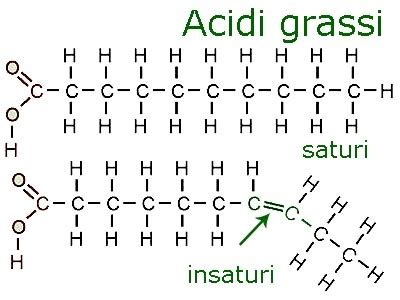 Struttura chimica degli acidi grassi a catena media