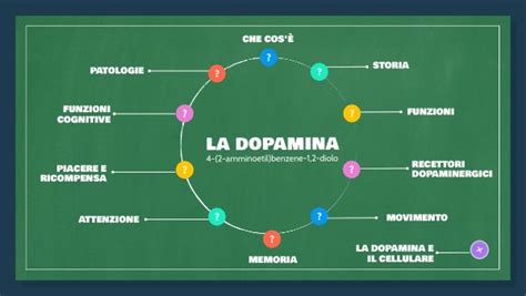 Diagramma che illustra i recettori dopaminergici e serotoninergici nel cervello