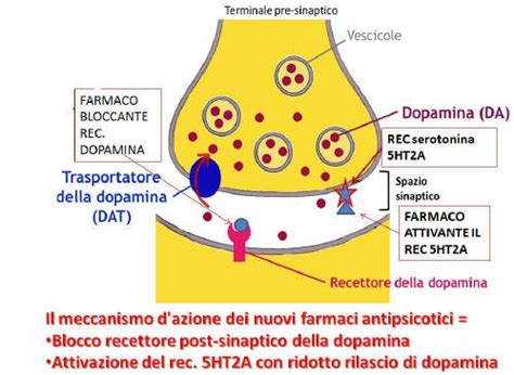 Infografica che confronta i meccanismi d'azione dei neurolettici tipici e atipici