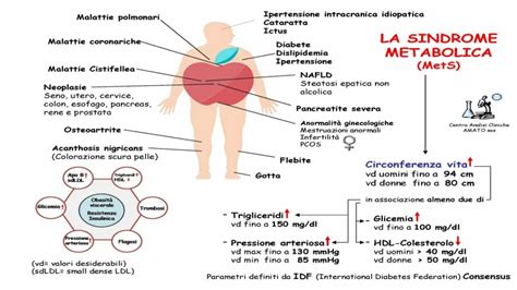 Diagramma della sindrome metabolica