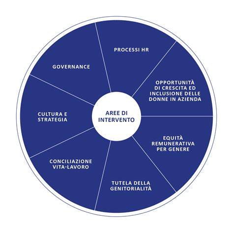 Schema delle aree di ricerca dell'IIT