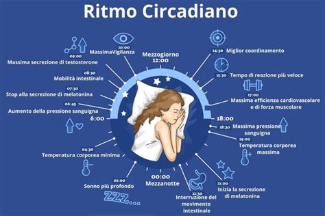 Diagramma che illustra il ciclo sonno-veglia e l'influenza dei ritmi circadiani