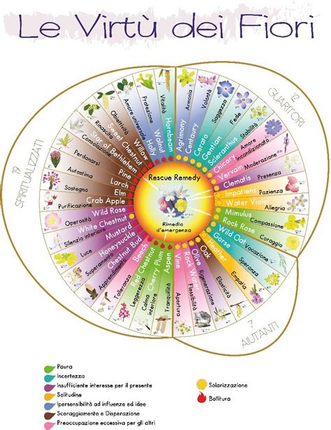 fiori di bach per il parto