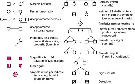 albero genealogico con simboli di ansia