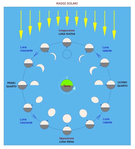 Schema delle fasi della percezione