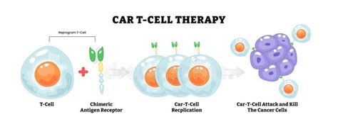Illustrazione simbolica del processo terapeutico psicoanalitico