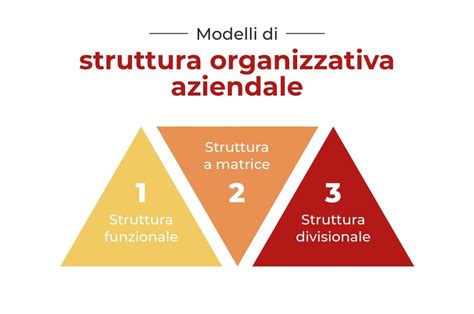 Struttura organizzativa di una scuola di specializzazione in psicoterapia