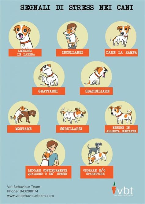 Diagramma: Segnali di stress nel cane