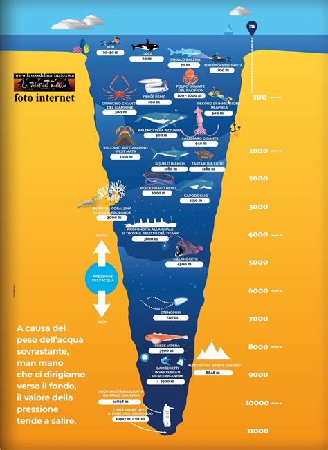 Mappa che mostra le profondità oceaniche