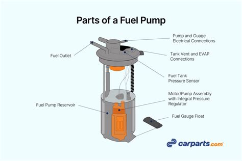 Cross-section of a car fuel tank showing the fuel pump assembly