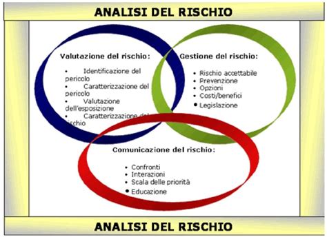 Diagramma che illustra i tipi di rischi sistemici secondo il DSA