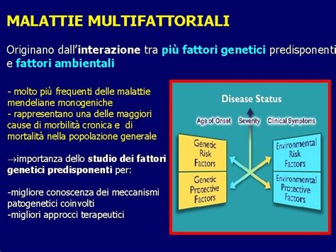 Diagramma che illustra l'interazione tra fattori genetici e ambientali nel DOC