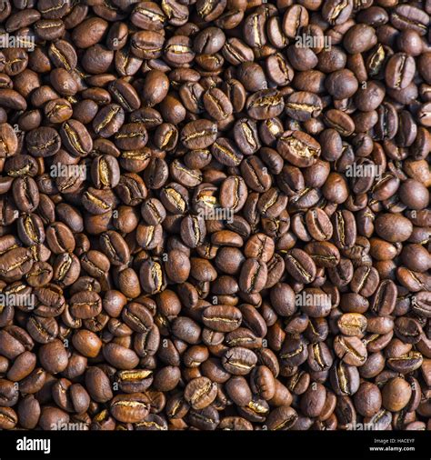 Chicchi di caffè tostati