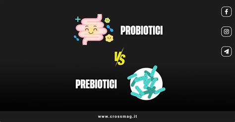 Infografica sui probiotici e prebiotici