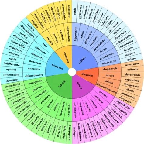 ruota delle emozioni colorata con faccine