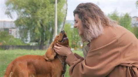 Un cane che interagisce felicemente con il suo addestratore