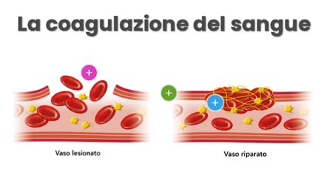 Schema dell'aumento delle piastrine nel sangue
