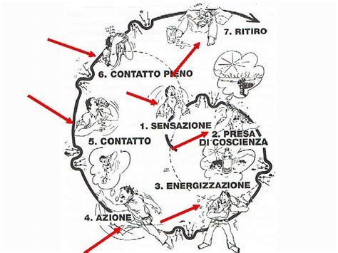 Diagramma del Ciclo del Contatto Gestaltico