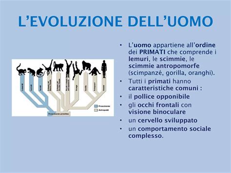 Diagramma che illustra l'evoluzione della psicologia canina da approcci empirici a metodi scientifici