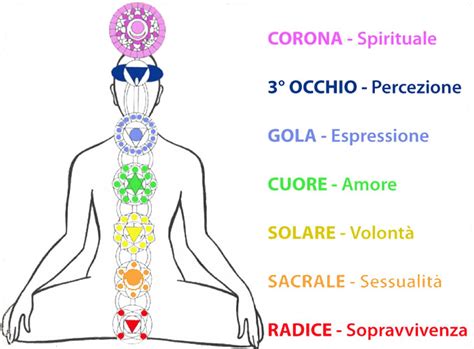 Diagramma dei sette chakra principali con le loro posizioni nel corpo e associazioni emotive/fisiche