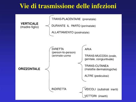 Diagramma delle vie di trasmissione dell'HIV