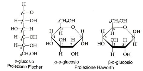 Proiezione di Fischer e Haworth del Glucosio
