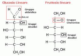 Confronto tra la struttura del Glucosio e del Fruttosio