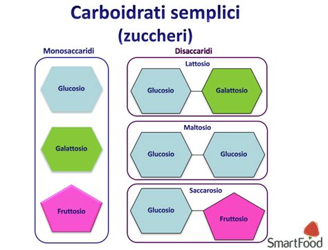Strutture chimiche dei principali disaccaridi