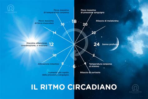 Ritmo circadiano e orologi biologici