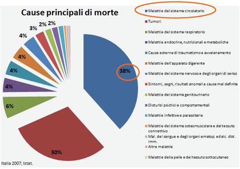 Grafico a torta che illustra le principali cause di morte tra i giovani, evidenziando il suicidio.