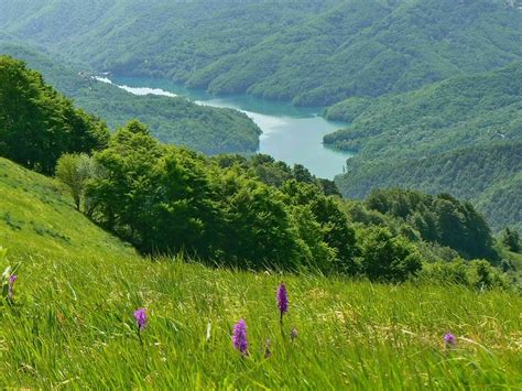 Sentiero escursionistico nel Parco dell'Antola