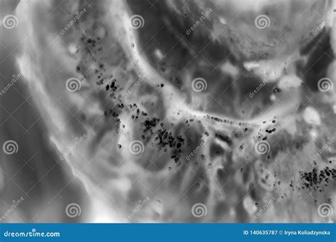 Cellule tumorali sotto un microscopio