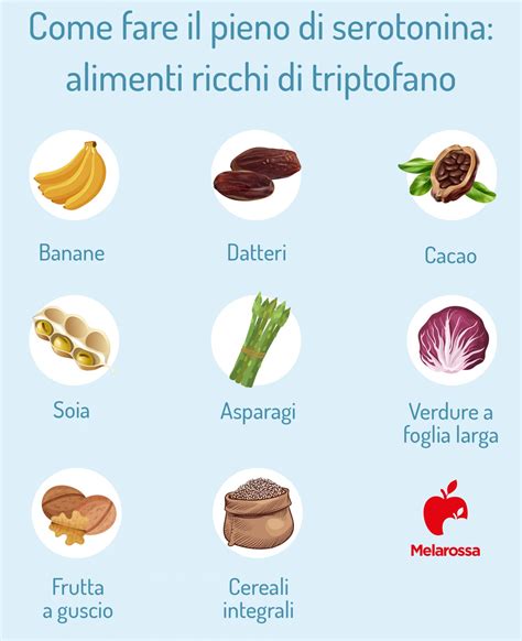 Infografica che mostra i cibi ricchi di triptofano