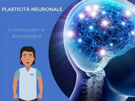 Diagramma che illustra l'interazione tra SSRI, plasticità neurale e ambiente nella depressione