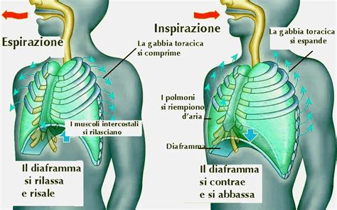 Persona che pratica la respirazione profonda durante un pasto.