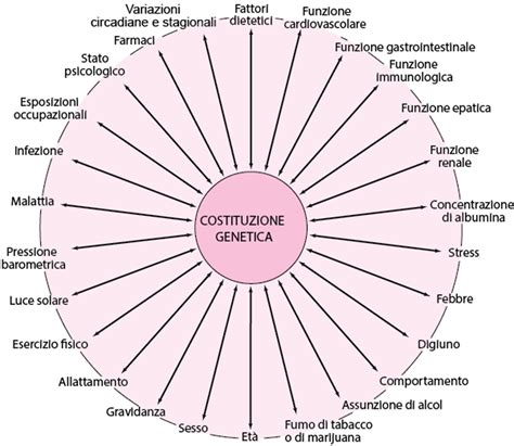 Diagramma che illustra l'interazione tra vulnerabilità genetica, fattori ambientali e sviluppo infantile