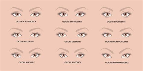 Occhi di diverse forme e dimensioni