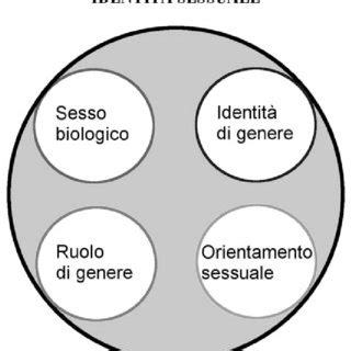 Diagramma che illustra le diverse componenti dell'orientamento sessuale: attrazione fisica, romantica e identità