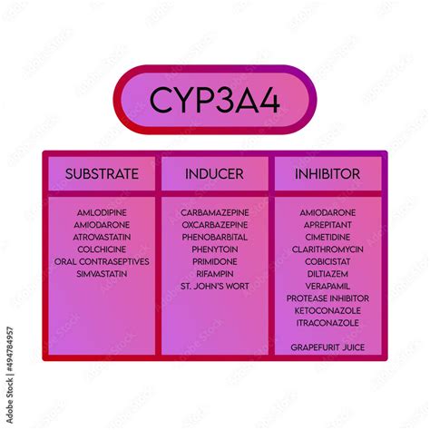 Diagramma che illustra l'inibizione del CYP3A4 da parte delle furanocumarine