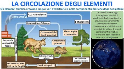 Illustrazione che mostra il flusso energetico tra piedi e terra